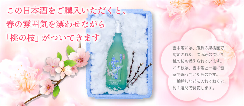 この日本酒をご購入いただくと、春の雰囲気を漂わせながら「桃の枝」がついてきます