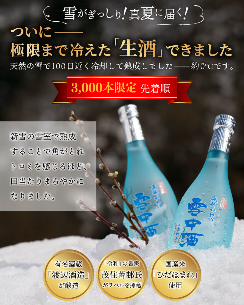 飛騨かわい雪中酒